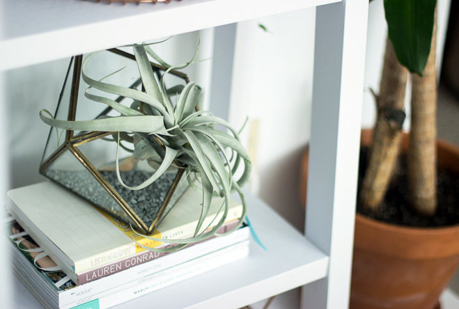 Room Tour: A Millennial's Living Room Grows Up | Wayfair